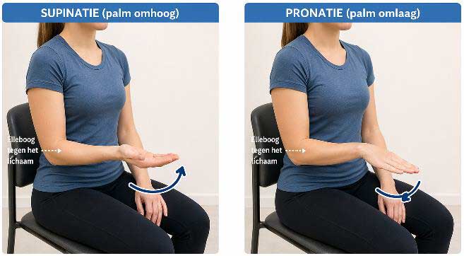 elleboog revalidatie