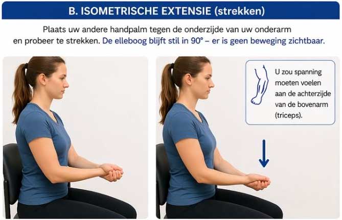 elleboog revalidatie