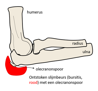 ontsoken-slijmbeurs