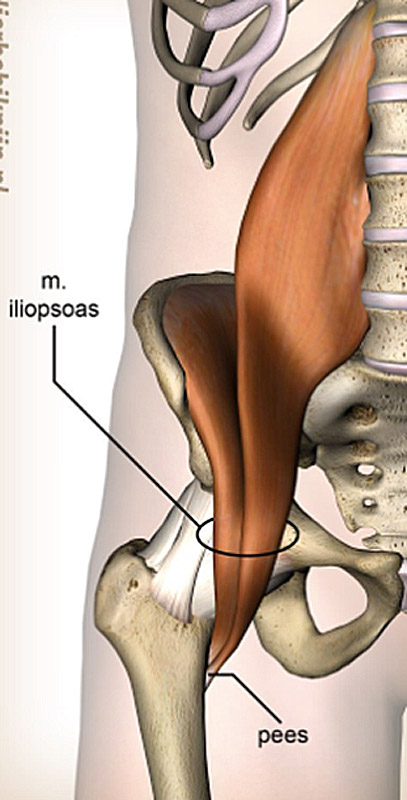 psoaspees